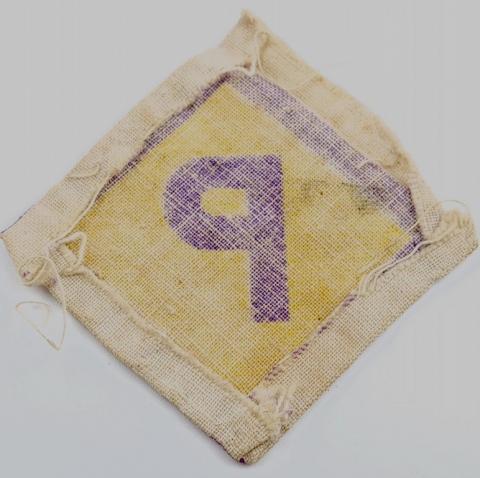 Holocaust Poland Polish workers Forced Labour "P" Patch Zivilarbeiter