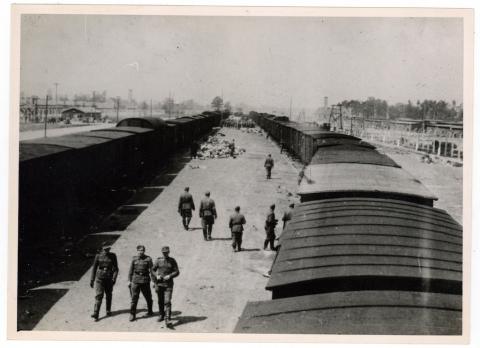 Concentration Camp AUSCHWITZ BIRKENAU original photo ss guard liberation train corpes