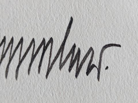 original genuine WAFFEN SS BOOK HEINRICH HIMMLER HANDMADE SIGNATURE autograph signed COA