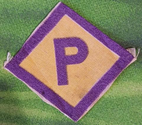 Holocaust Pole Poland Forced Labour P Patch BMW VOLKSWAGEN BAYER JUNKERS