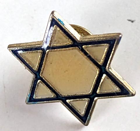 STAR OF DAVID pin badge Holocaust Jew Jewish Shoa original for sale etoile