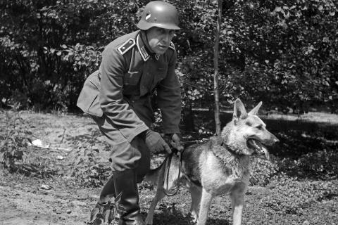 WAFFEN SS TOTENKOPF concentration camp GUARD dog token auschwitz