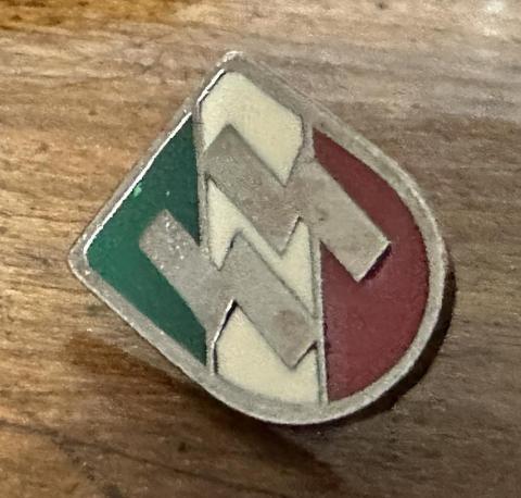 WW2 German Nazi RARE Waffen SS Italian partisan tiny pin with SS runes