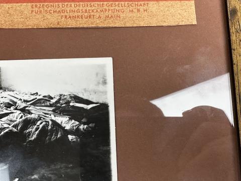 Zyklon B canister label in frame with holocaust photo Concentration Camp
