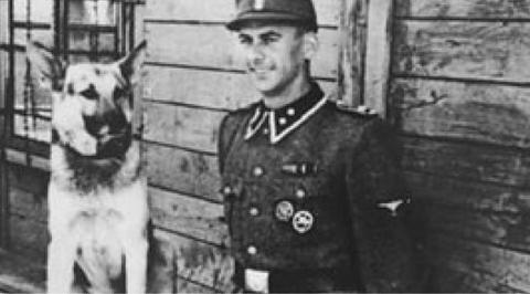 AUSCHWITZ camp Waffen SS Totenkopf guard DOG medal original