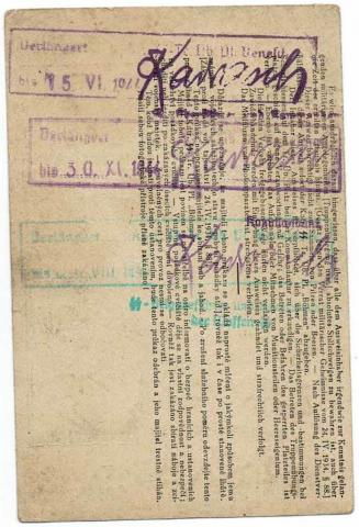 RARE WW2 German Nazi Waffen SS Ausweis ID with photo, stamped