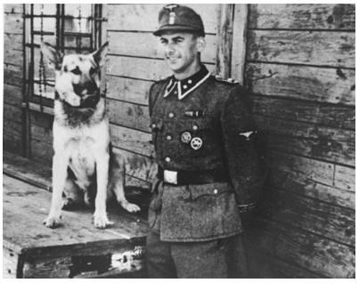 WW2 GERMAN NAZI HOLOCAUST CONCENTRATION CAMP AUSCHWITZ BIRKENAU WAFFEN SS GUARD DOG'S CHAIN TAG