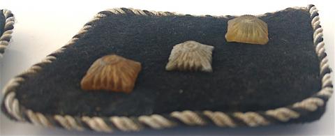 WW2 GERMAN NAZI RARE ALLEGMEINE SS OFFICER COLLAR TAB SET TUNIC REMOVED WITH TRACE OF ONE RZM MAKER TAG
