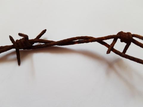 WW2 GERMAN NAZI RARE HISTORICAL PIECE - A BARBE WIRE CUT FROM THE ORIGINAL FENCE OF CONCENTRATION CAMP AUSCHWITZ-BIRKENAU