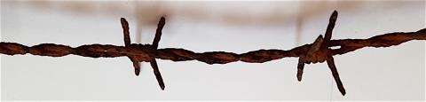 WW2 GERMAN NAZI RARE HISTORICAL PIECE - A BARBE WIRE CUT FROM THE ORIGINAL FENCE OF CONCENTRATION CAMP AUSCHWITZ-BIRKENAU