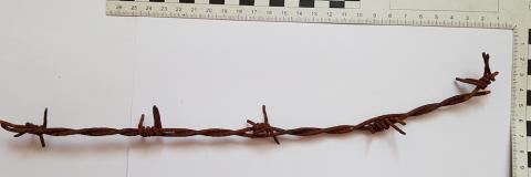 WW2 GERMAN NAZI RARE HISTORICAL PIECE - A BARBE WIRE CUT FROM THE ORIGINAL FENCE OF CONCENTRATION CAMP AUSCHWITZ-BIRKENAU