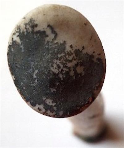 WW2 GERMAN NAZI VERY RARE SOLDIER HEAD PEN COVER WAFFEN SS WEHRMACHT WW2 GERMAN NAZI VERY RARE SOLDIER HEAD PEN COVER WAFFEN SS WEHRMACHT