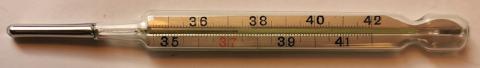 WW2 GERMAN NAZI CONCENTRATION CAMP AUSCHWITZ  ORIGINAL ITEMS FOR SALE HOLOCAUST TEACHING
