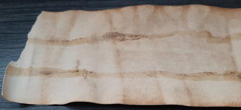 CONCENTRATION CAMP AUSCHWITZ ZYKLON B CANISTER LABEL ORIGINAL HOLOCAUST ARTIFACT JUIF JEW JEWISH JOOD
