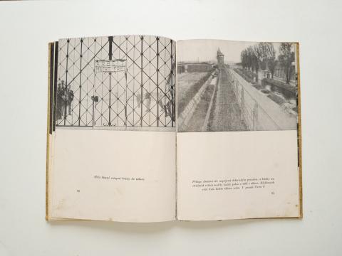 holocaust Concentration camp MAUTHAUSEN DACHAU LIBERATION photos book jew jewish kz kl inmate killing