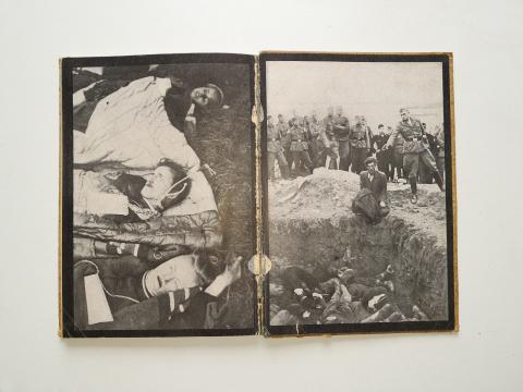 holocaust Concentration camp MAUTHAUSEN DACHAU LIBERATION photos book jew jewish kz kl inmate killing