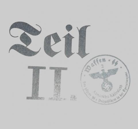 RARE Third Reich NSDAP Waffen SS set of gramophone records in etui, stamped