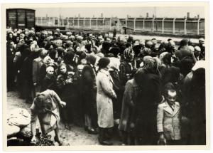 Concentration Camp AUSCHWITZ BIRKENAU original photo liberation train GHETTO GETTO DEPORTED JEWISH GYPSIES