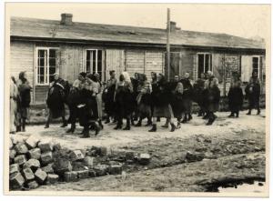 Concentration Camp AUSCHWITZ BIRKENAU original photo liberation train GHETTO DEPORTED JEWISH GYPSIES