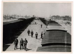 Concentration Camp AUSCHWITZ BIRKENAU original photo ss guard liberation train corpes