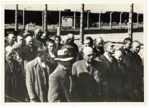 Concentration Camp AUSCHWITZ BIRKENAU original photo liberation inmate artifact