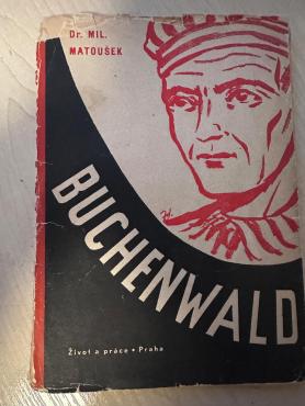 HOLOCAUST artifact original for sale star david jew jewish jude CONCENTRATION CAMP BUCHENWALD BOOK PHOTOS