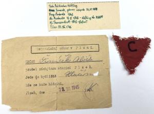 Czech political prisoner survivor AUSCHWITZ concentation camp red triangle patch document