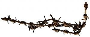 WW2 GERMAN NAZI CONCENTRATION CAMP AUSCHWITZ BIRKENAU BARBED WIRE FENCE PART