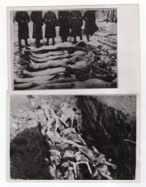Holocaust shoking photos of extermination in concentration camp - ORIGINAL liberation picture showing pile of corpes