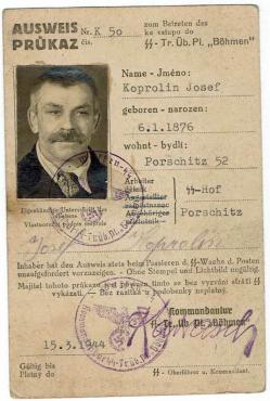 RARE WW2 German Nazi Waffen SS Ausweis ID with photo, stamped